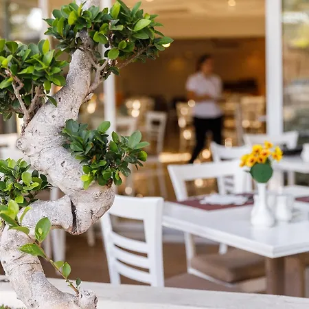 Western Plaza ホテル Rhodes City