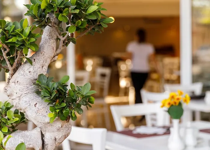 酒店 Western Plaza Rhodes City